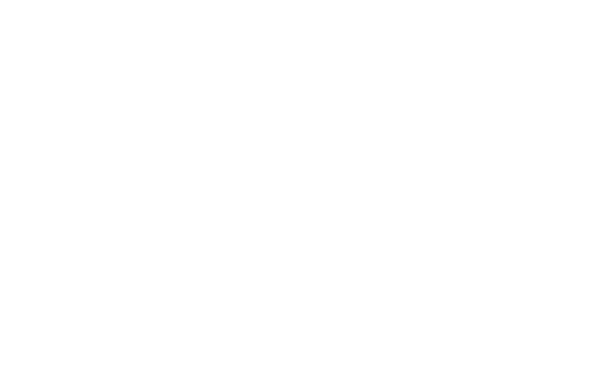 Agata Hann Logo
